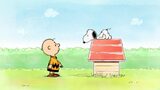 No tak, Snoopy!