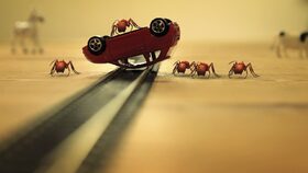 Mravenci ve vlaku