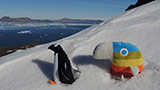 05-duhacek-na-antarktide.jpg