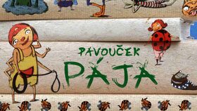 Pavouček Pája