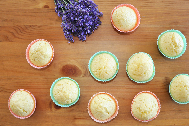 Cupcaky se superhmyzáky
