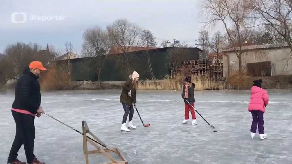 Fenka Čilinka na zamrzlém rybníku