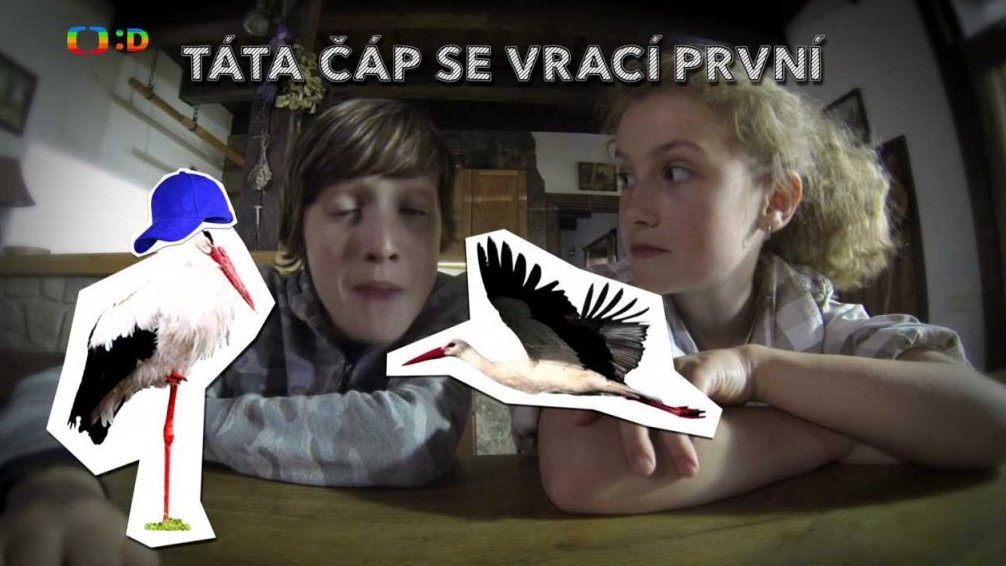 Huberťácký videoblog: Čáp