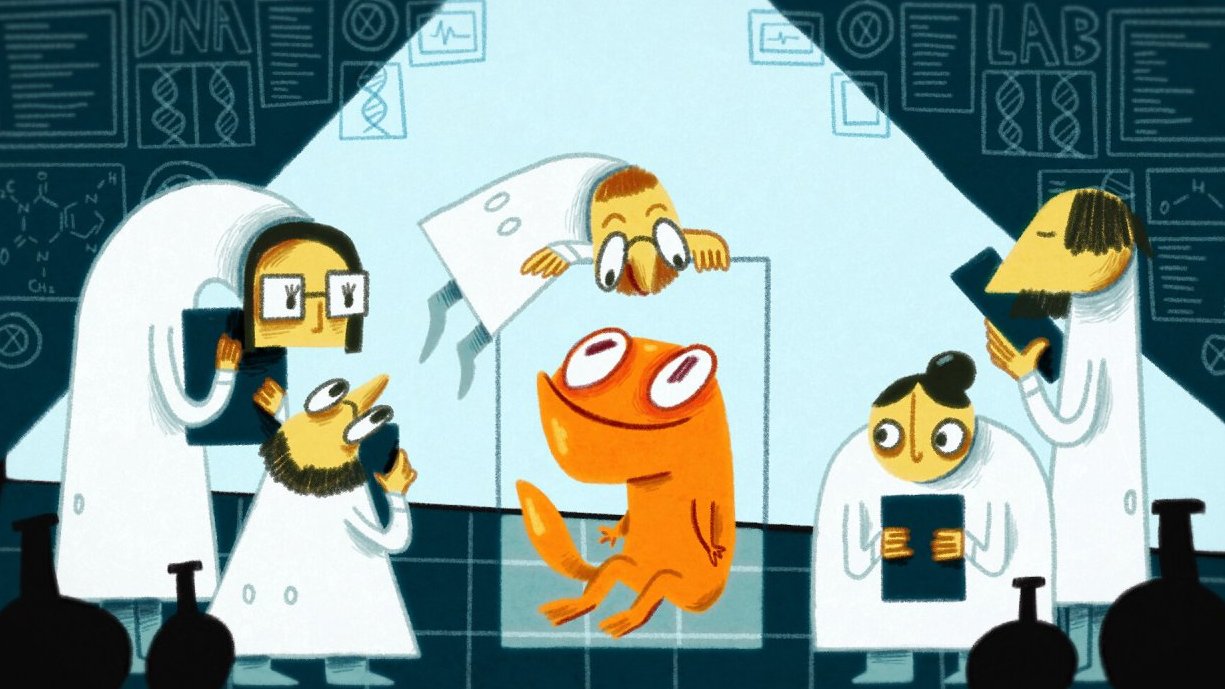 ZFF 2025: Biošortky - Regenerační tríčky