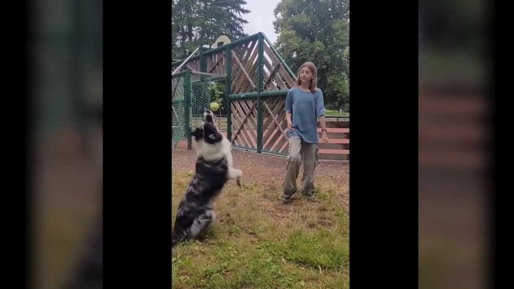 Terčin zvířecí svět – prázdniny 2025 – Amuš