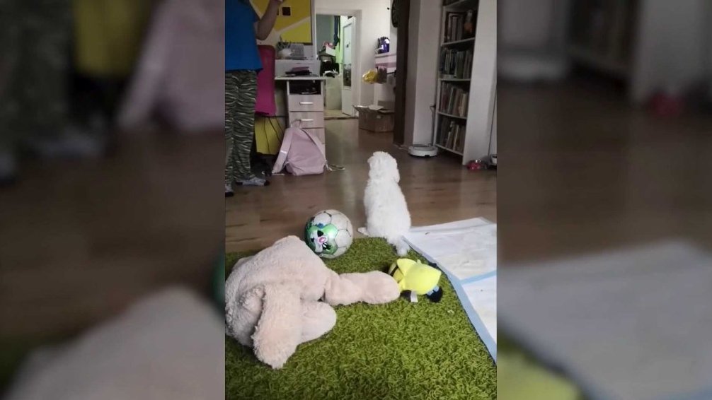 Terčin zvířecí svět – prázdniny 2025 – Urozená_karkulka