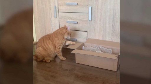 Terčin zvířecí svět – září 2025 – Cejn_upovídaný