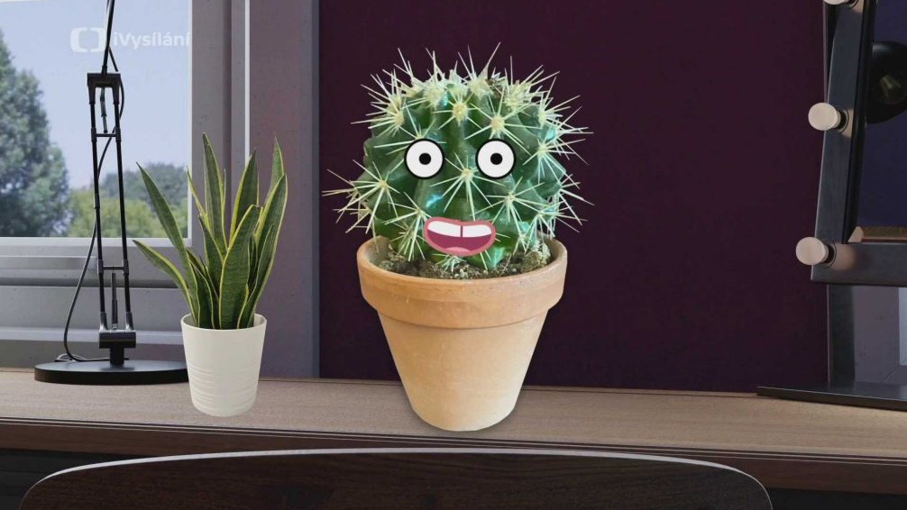 Stellin královský vlog