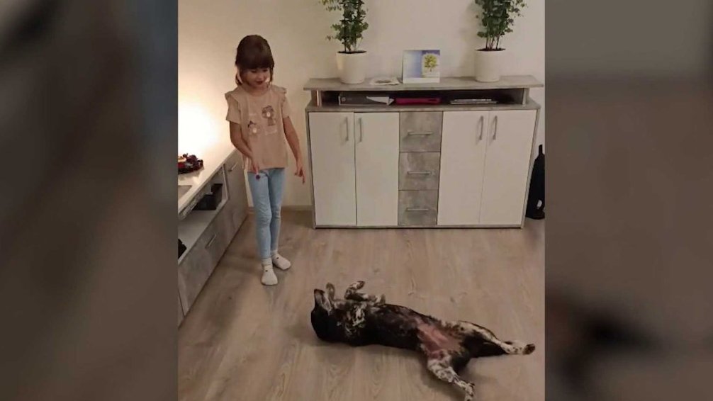 Terčin zvířecí svět – říjen 2025 – Horká_anténa