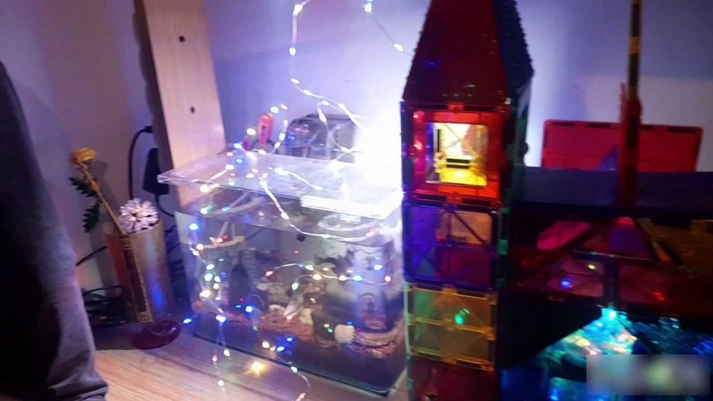 Terčin zvířecí svět – prosinec 2025 – Vojta