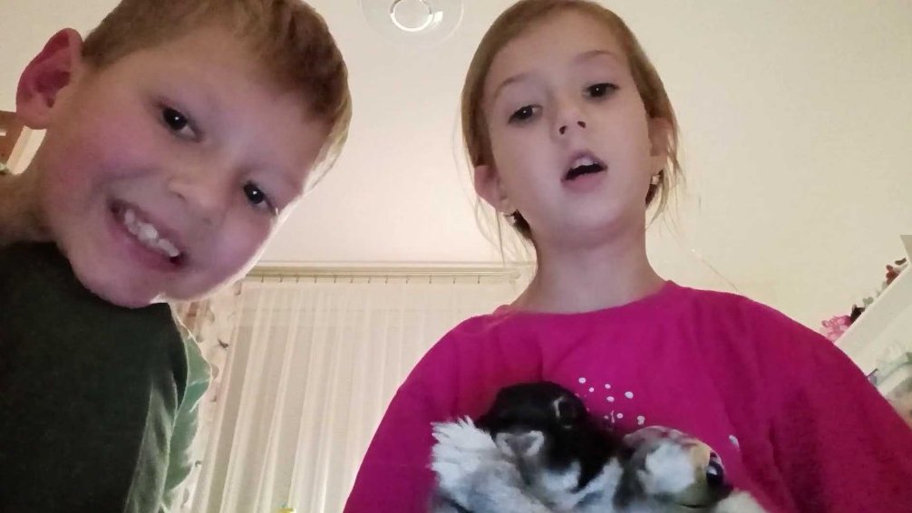 Terčin zvířecí svět – prosinec 2025 – Eli