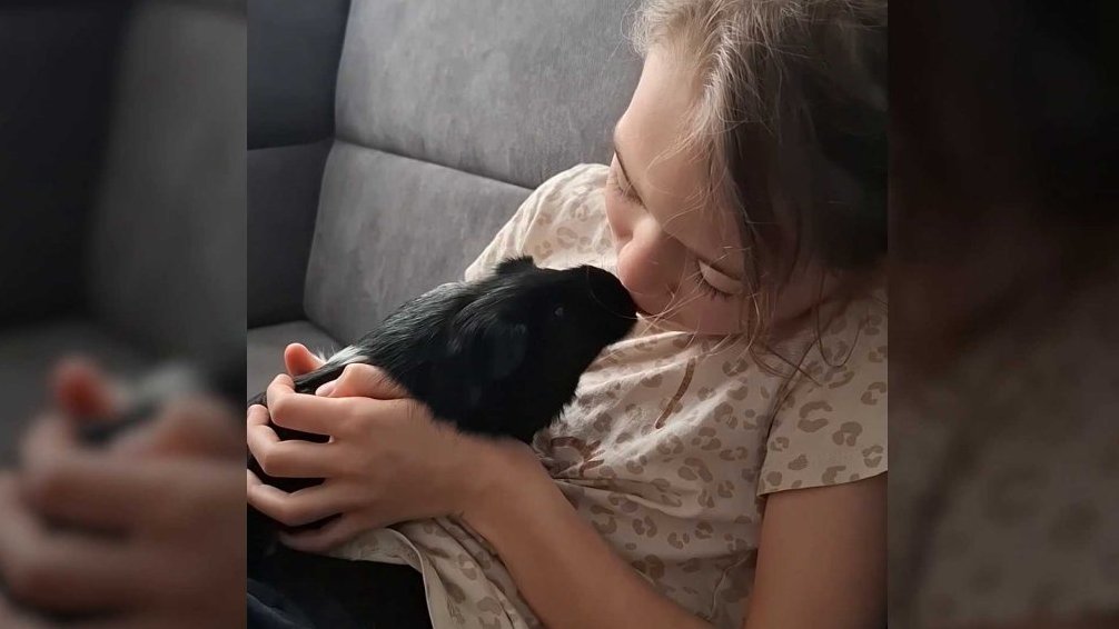 Terčin zvířecí svět – únor 2026 – Křupka_Mona