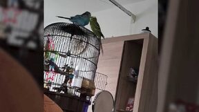 Létající_kompas – únor