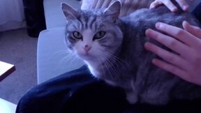 Áďa_Stelča – únor