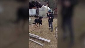 Veselý_potůček – březen