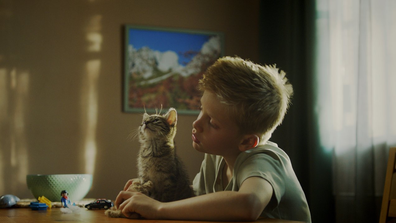 ZFF 2026: Koschka