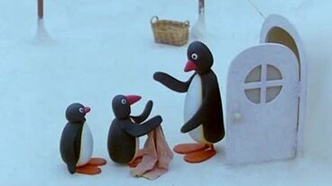 Pingu a podvod