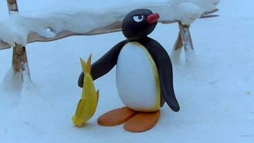 Pingu a ptačí mláďata