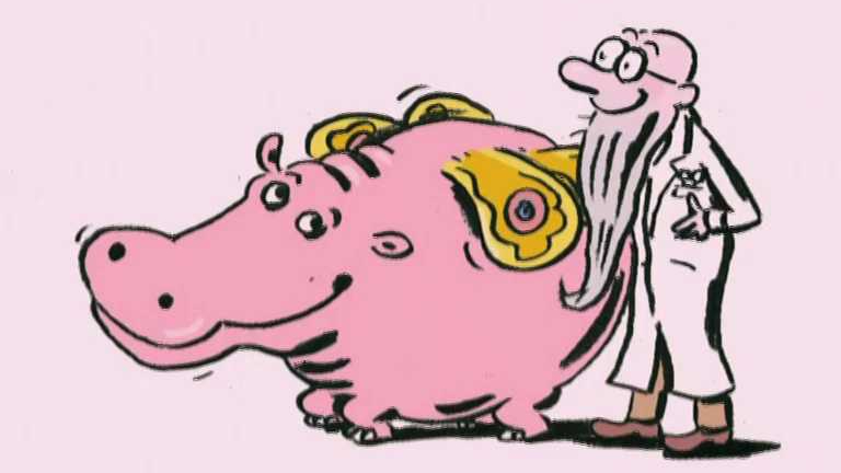 1/7 Jak chtěl hrošík létat