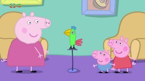 Papoušek Polly