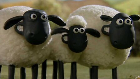 29/40 Zachraňte strom