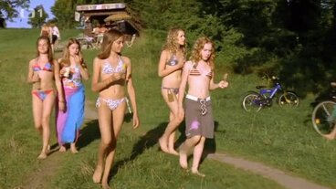 Divoké slepice a láska