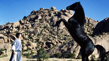 Návrat černého hřebce