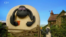 9/40 Ten nám ale vyrostl!