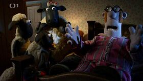 10/40 Pod jednou střechou