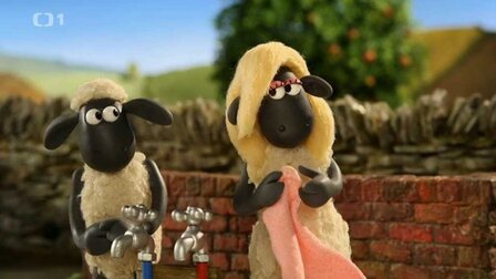 19/40 Srdci neporučíš