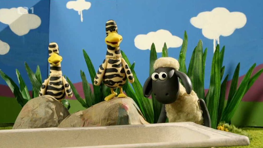 28/40 Africká zebří kachna