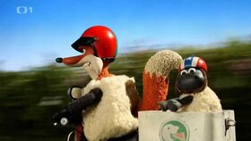 35/40 Fešák lišák