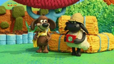 17/26 Timmy na safari