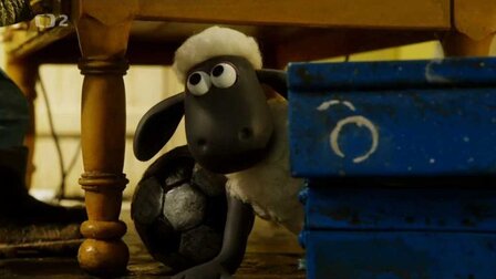 14/20 Do krabice nikdy více