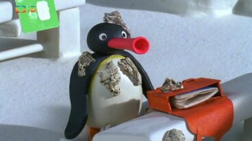 Pingu VI