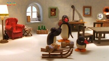 Pingu VI