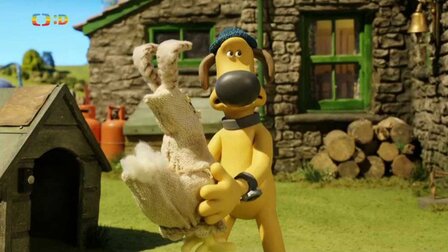 8/30 Hledá se králík