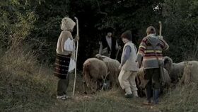 Černá ovce