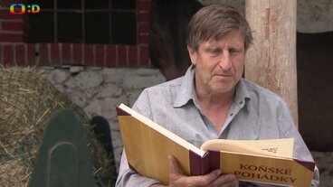 Pohádky o koních