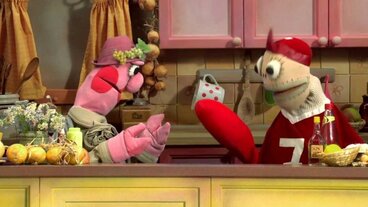 29/21 Proč mravenci stavěj mraveniště? Proč každý člověk vypadá jinak?