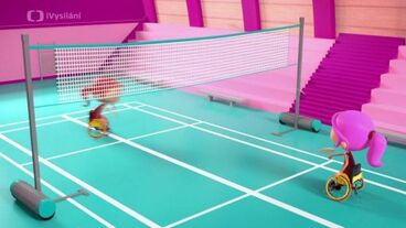 Para badminton