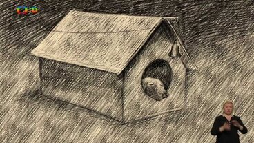 Radovanovy radovánky: Jak Radovan s Kateřinkou vymysleli psí ukolébavku