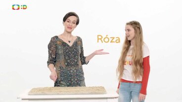 Cesta do země ticha
