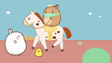 Rodeo