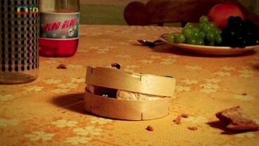 Camembert