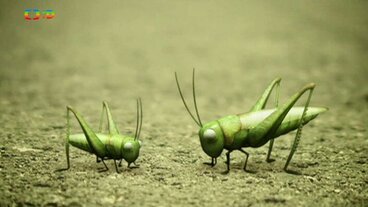 Hop, hop, hop!