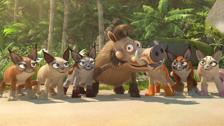 12/52 Rozpálená show