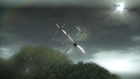 18/52 Nenasytná rostlinka