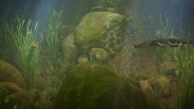 33/52 Juniorův první úlovek