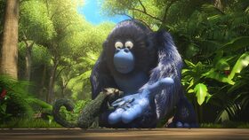 39/52 Nejsilnější zvíře pralesa